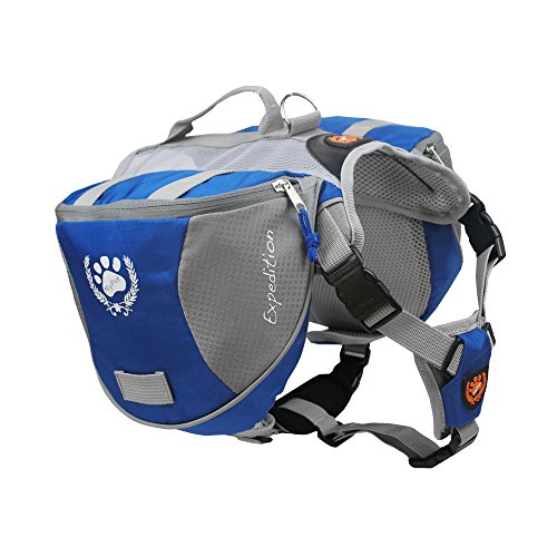 disfraz border collie 1