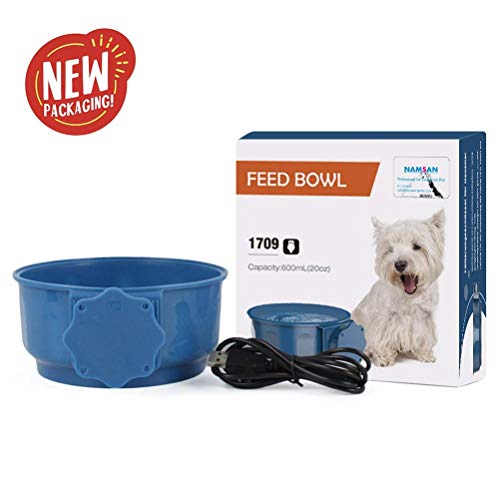 disfraz de ardilla reciclado 1