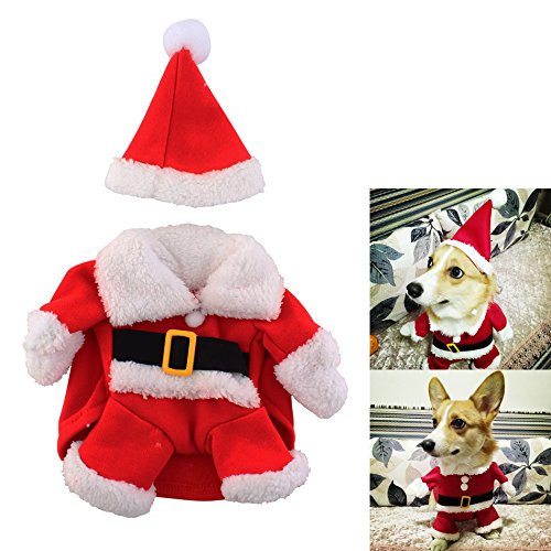 disfraz navidad perro mediano 1