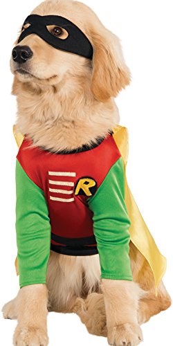 disfraz perro robin 1