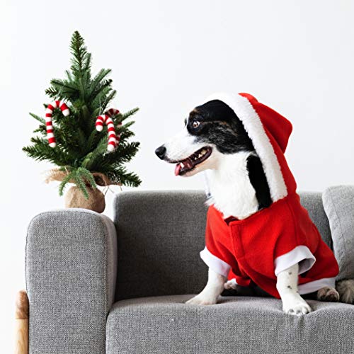 niños disfrazados navidad 1