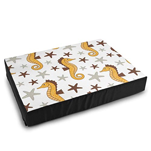 patron disfraz caballito de mar 1