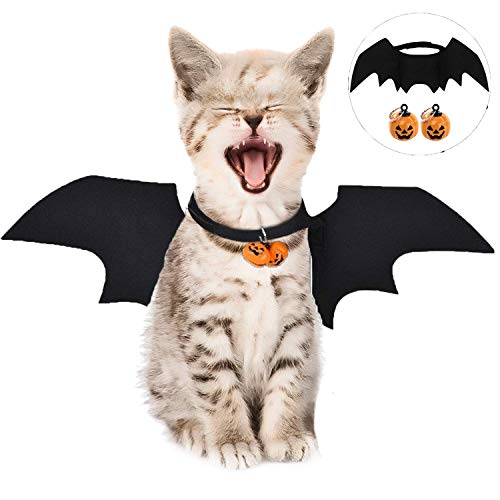 ▷ disfraz gato halloween - El rey de los disfraces 【2023 】
